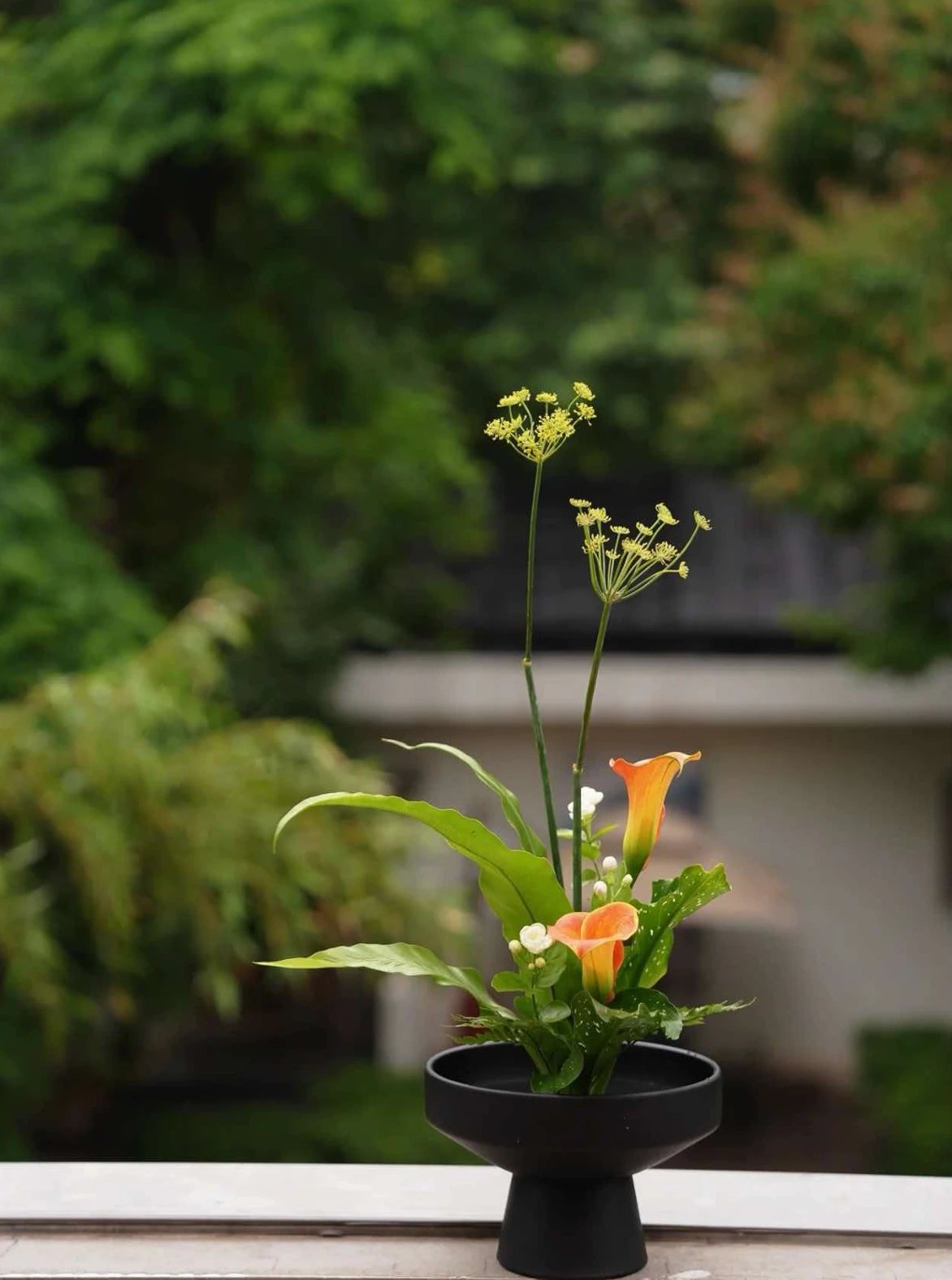 马蹄莲与茴香花插花作品